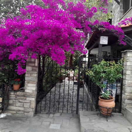 Papatzikos Traditional Guesthouse ネオス・マルマラス エクステリア 写真