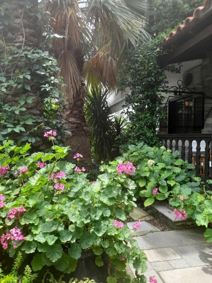Papatzikos Traditional Guesthouse ネオス・マルマラス エクステリア 写真